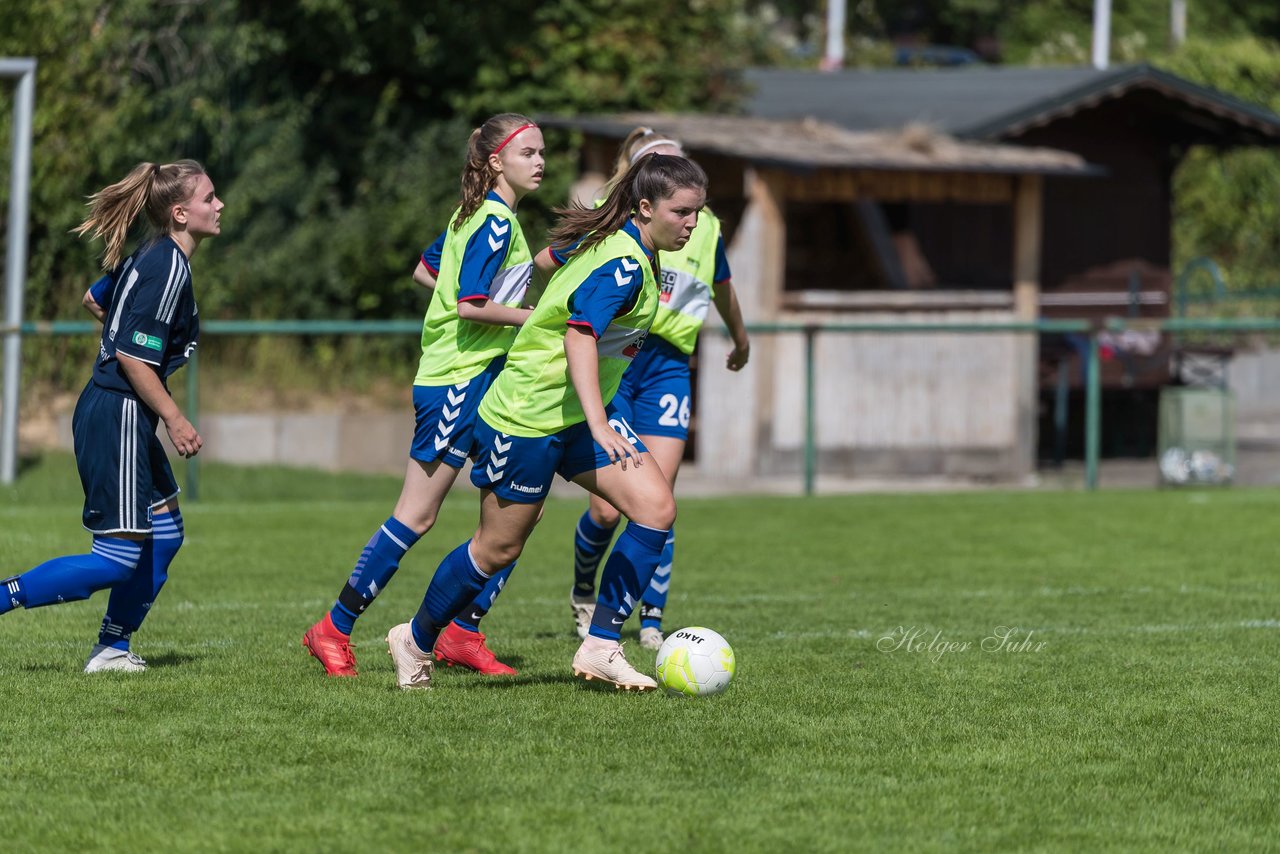 Bild 162 - B-Juniorinnen VfL Pinneberg - HSV : Ergebnis: 1:4